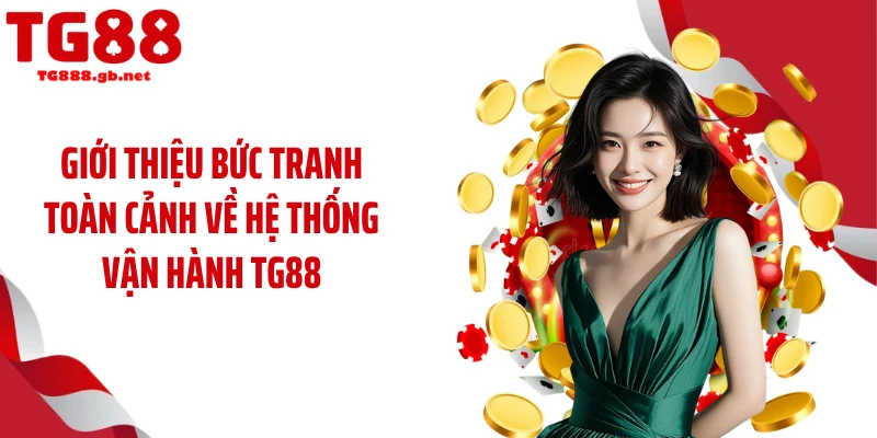 Giới thiệu bức tranh toàn cảnh về hệ thống vận hành TG88