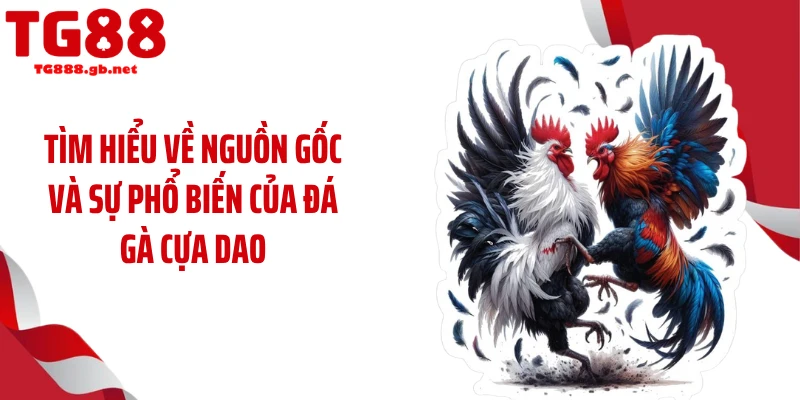 Tìm hiểu về nguồn gốc và sự phổ biến của đá gà cựa dao