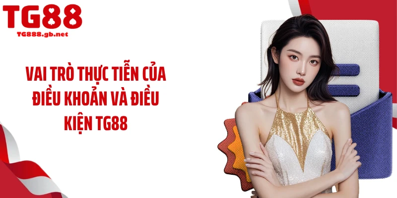 Vai trò thực tiễn của điều khoản và điều kiện TG88