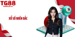 Xổ Số Miền Bắc Hôm Nay: TG88 Cập Nhật KQ Nhanh Nhất